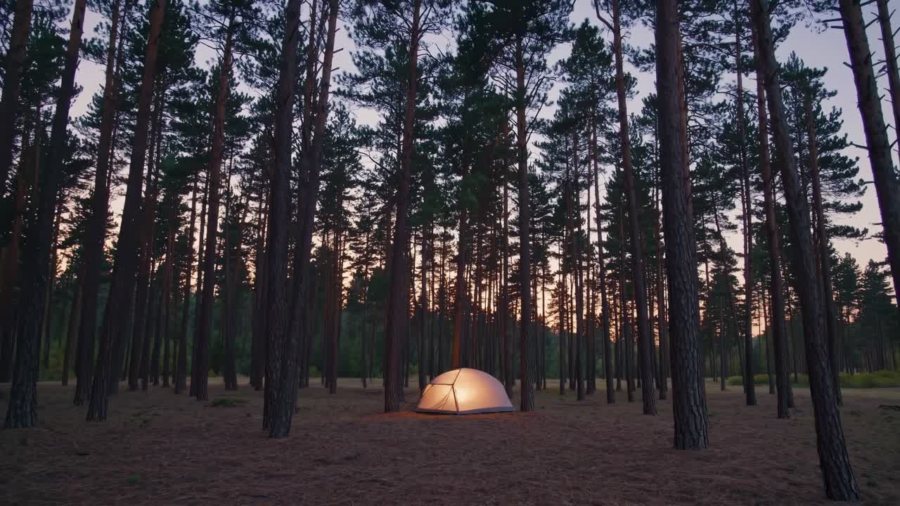 해가 지면 숲에서 캠핑하는 것