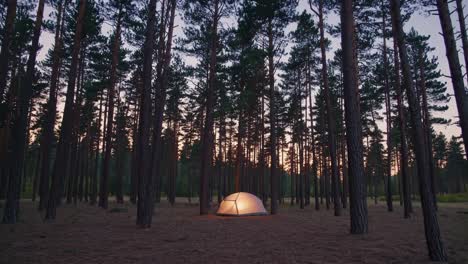 camping in the woods at sunset