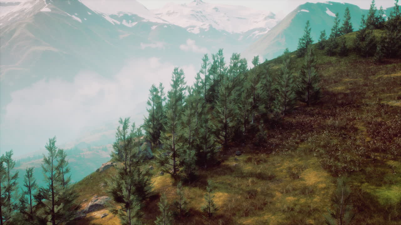 A beautiful view of a forest on a mountainside with a fog covering the peaks