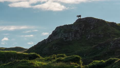 Timelapse-De-Caballo-En-La-Cima-De-Una-Colina-En-Una-Hermosa-Puesta-De-Sol-En-La-Isla-De-Mull,-Agosto-De-2023.