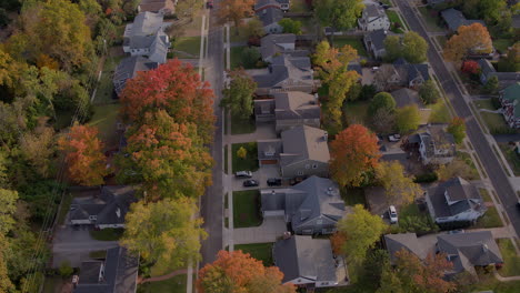 aerial flyover suburban houses and autumn leaves at sunset