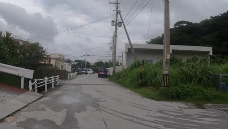 Punto-De-Vista-Caminando-Por-Una-Calle-Residencial-En-Un-Día-Nublado