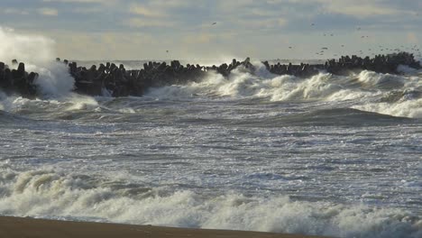 big waves breaking against northern pier at liepaja in sunny day, seagulls drifting in the high wind, slow motion wide shot