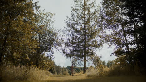 Female-explorer-walking-on-grass-by-trees-in-forest