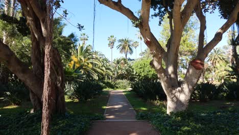 well-kept walkway in botanical garden of rabat, morocco