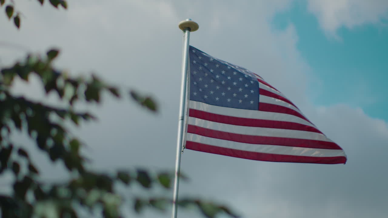 A shot of the American flag waving in the breeze against a clear blue sky. Green tree branches gently move in front as the camera pans left, enhancing the patriotic scene.