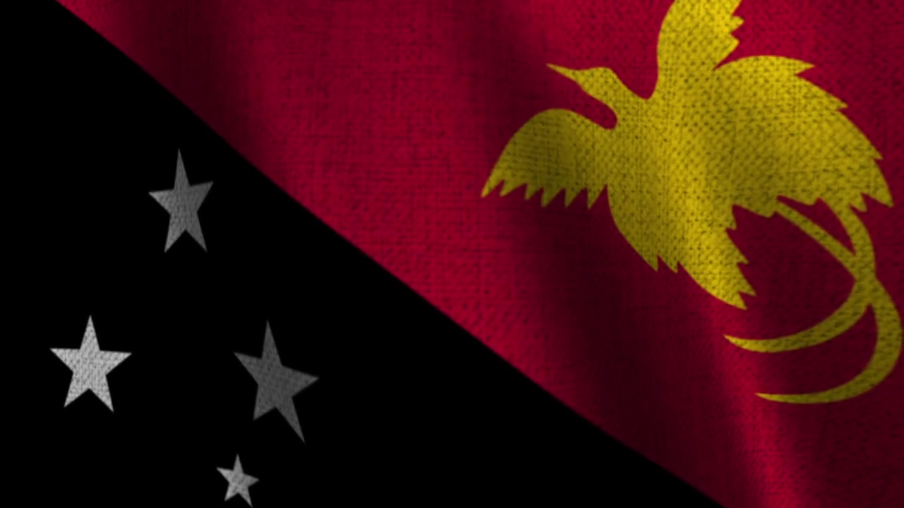 Animazione dettagliata della bandiera della Papua Nuova Guinea con effetto tessuto.