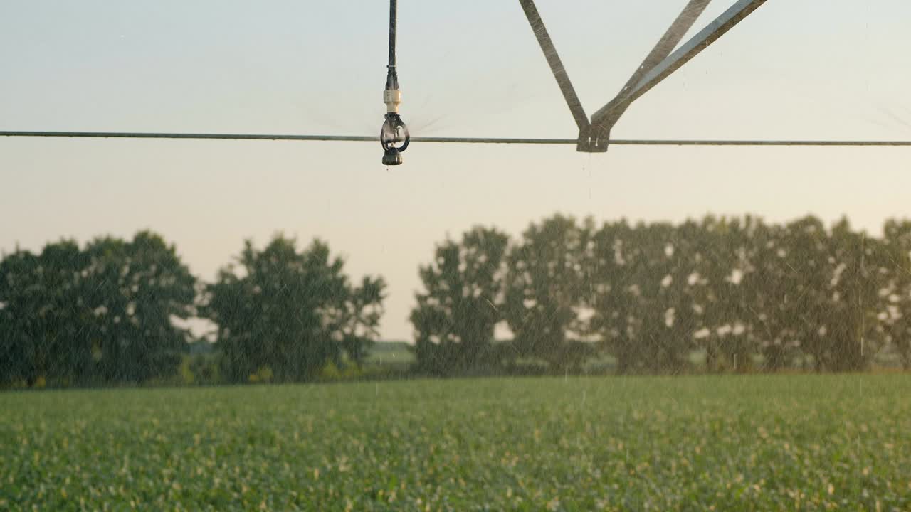 농작물 관개는 중앙 피보트 스프링클러 시스템을 사용하여 이루어집니다.