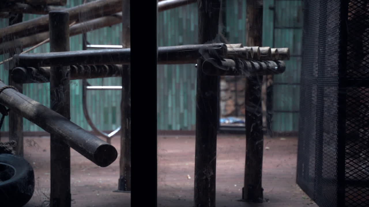 동물원의 동물 정글 체육관, 오른쪽에서 왼쪽으로 전체 패닝 샷