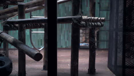 animal jungle gym in zoo, full panning shot right to left