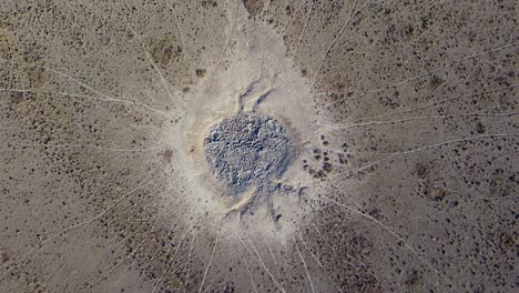 aerial view of a dry waterhole with game trails in the arid kalahari region of southern africa