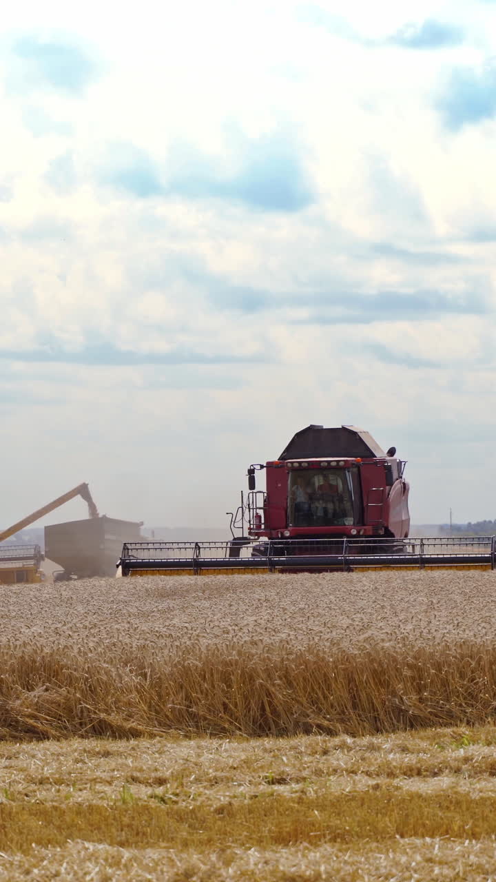 Agricultural machinery at seasonal works. Big combine harvester gathers wheat crop in a sunny summer day. Wheat harvesting process. Vertical video