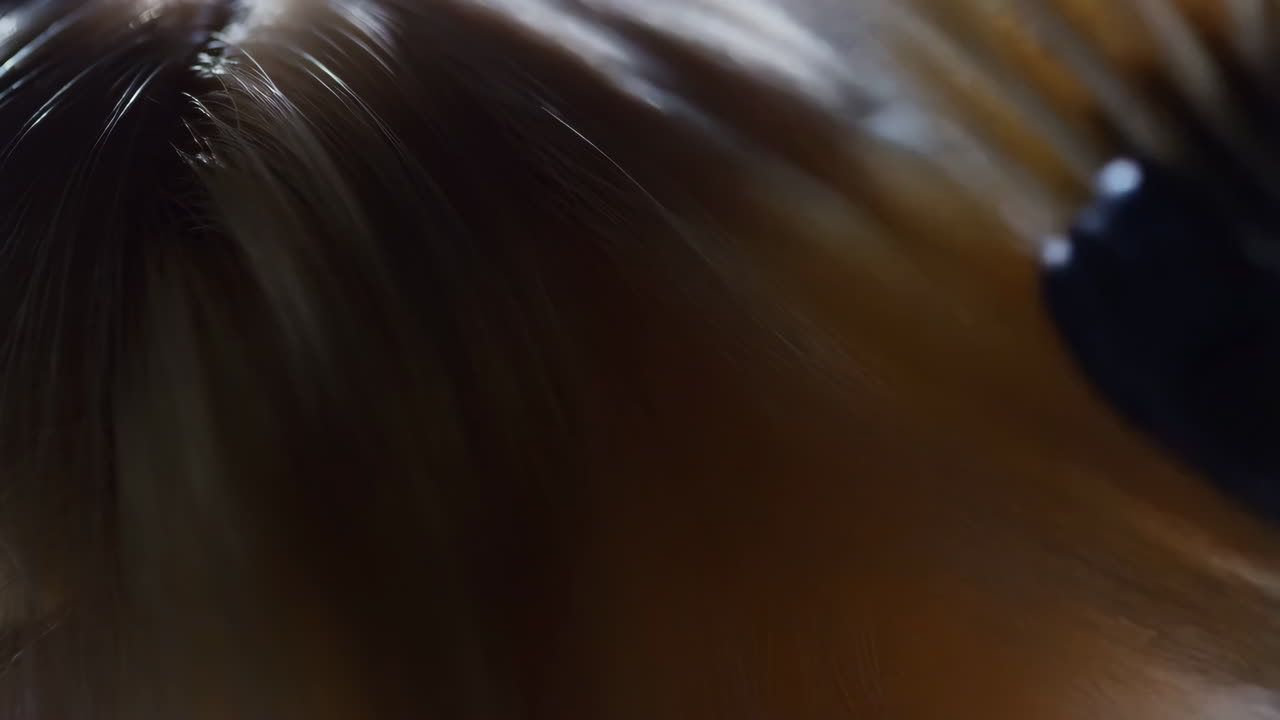 Nærbillede af skinnende blondt hår