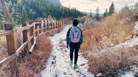 young woman on a hike with dog in autumn walking along path with snow on ground