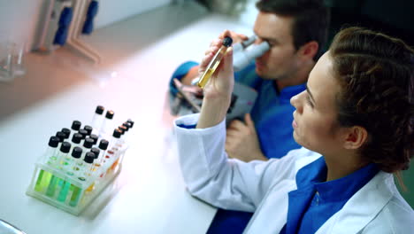 grupo de científicos que hacen investigación química. mujer científica que estudia líquidos