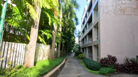 a peaceful walkway flanked by greenery and buildings