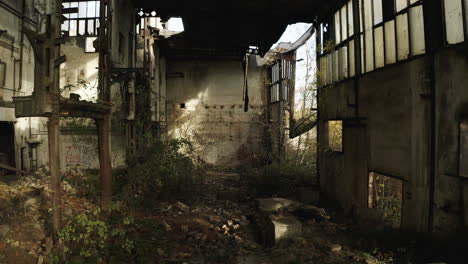 plants growing inside ruined concrete warehouse