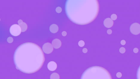 floating bubble circles on a purple background