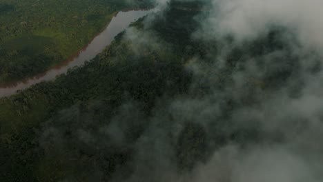 vivid clouds over tropical rainforest trees and river in the amazon of ecuador
