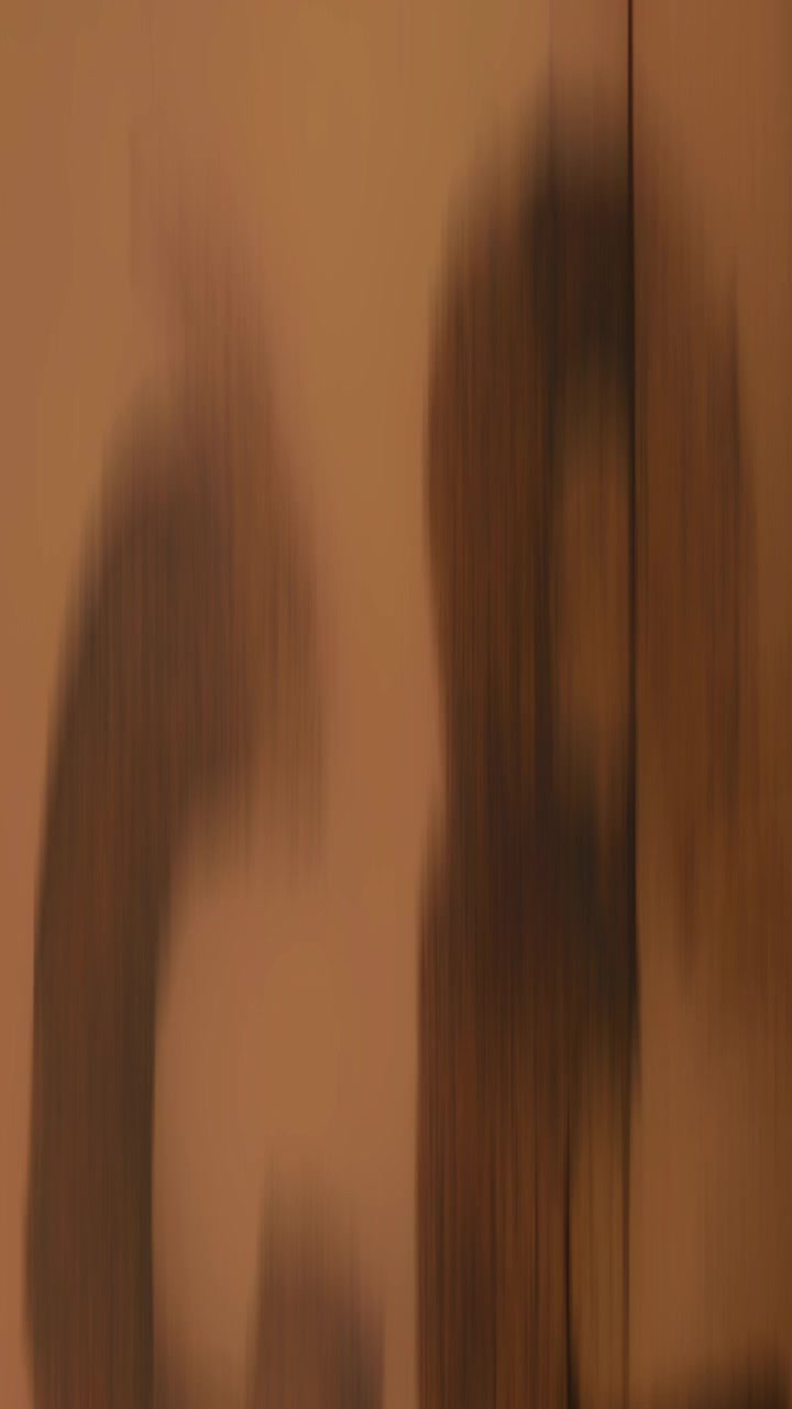Abstract Motion Blur Transition with Brown and Black Tones