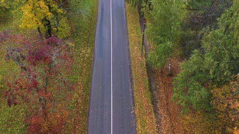 Fallen-autumn-leaves-near-asphalt-road,-aerial-descend-view