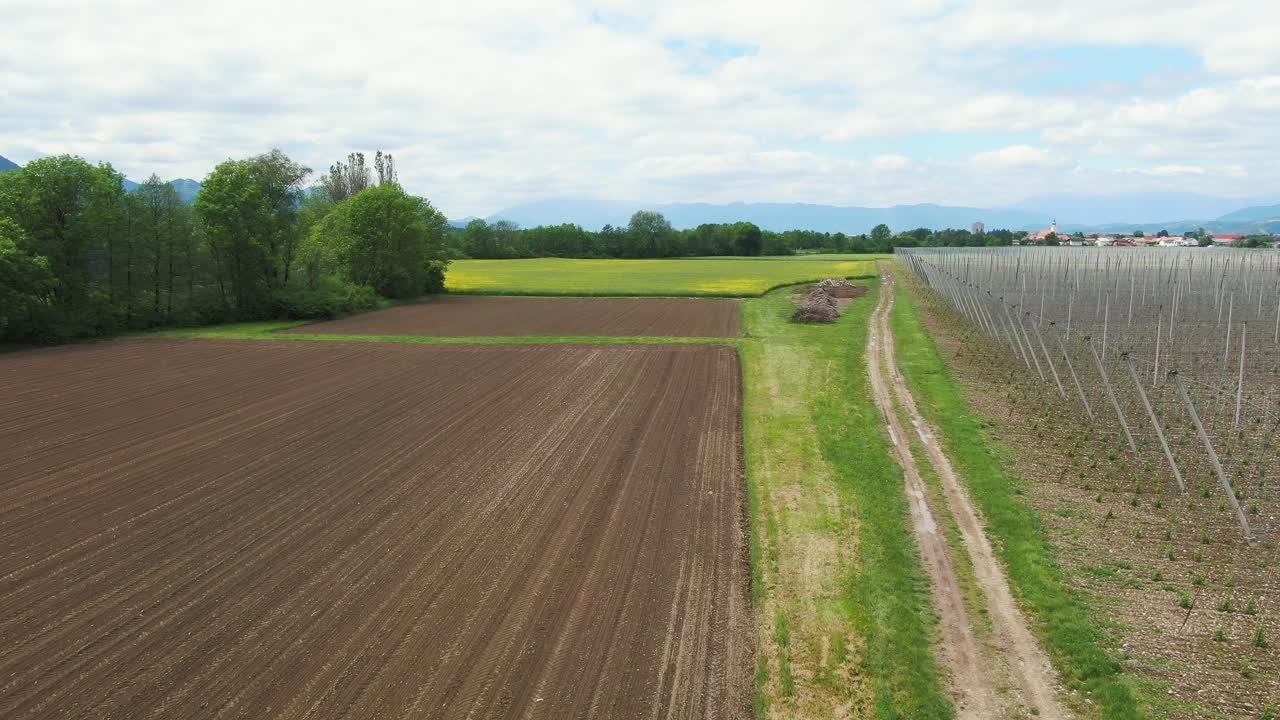 Luftaufnahme über einem Weinberg und einem Acker, der bereit ist, bestellt zu werden. Wunderschönes Tal und Kumuluswolkenlandschaft im Hintergrund