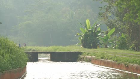 early morning sunlight bathes a quiet irrigation channel in golden hues, with greenery on both sides and mist lingering in the air. a perfect tranquil setting of nature and human-made harmony