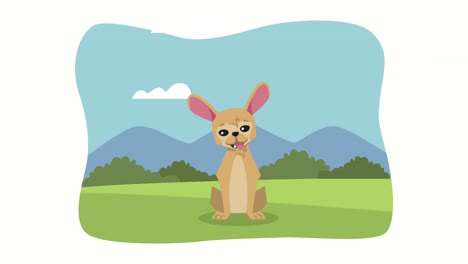 mascota del perro en la animación del campamento