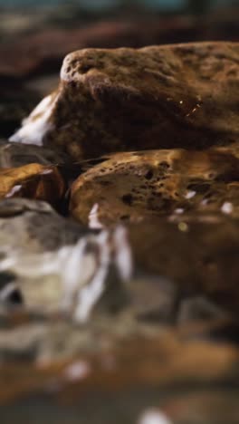 agua que fluye en un río