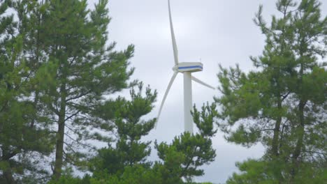 Pan-across-pine-trees-with-rotating-wind-turbine-in-between-on-cloudy-summer-day