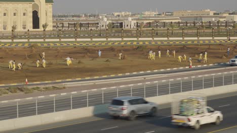 uae 샤르자에 있는 정원 조경을 개발하고 작업하는 사람들과 함께 도로를 달리는 차량