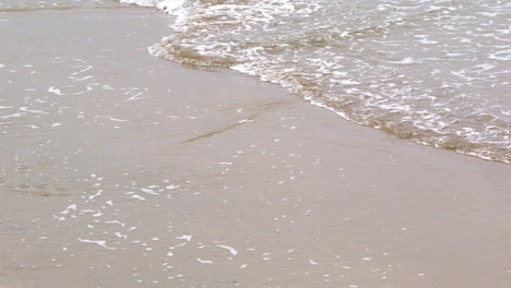 ocean rolling in over the sand