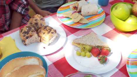 Happy-family-having-a-picnic