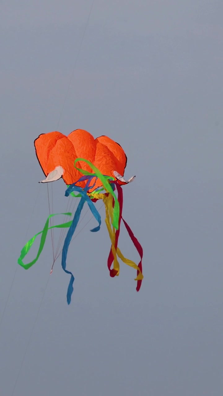 A vibrant kite soars and dances in the breeze.