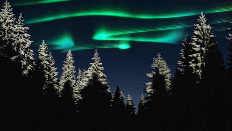 northern lights, arctic lights, green aurora in blue sky