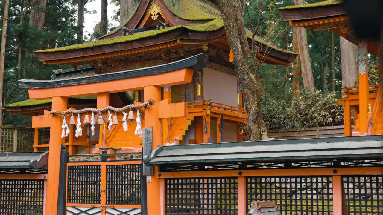 A cinematic shot featuring traditional lamps lighting up the sacred grounds of Mount Koya (Koyasan), Japan.