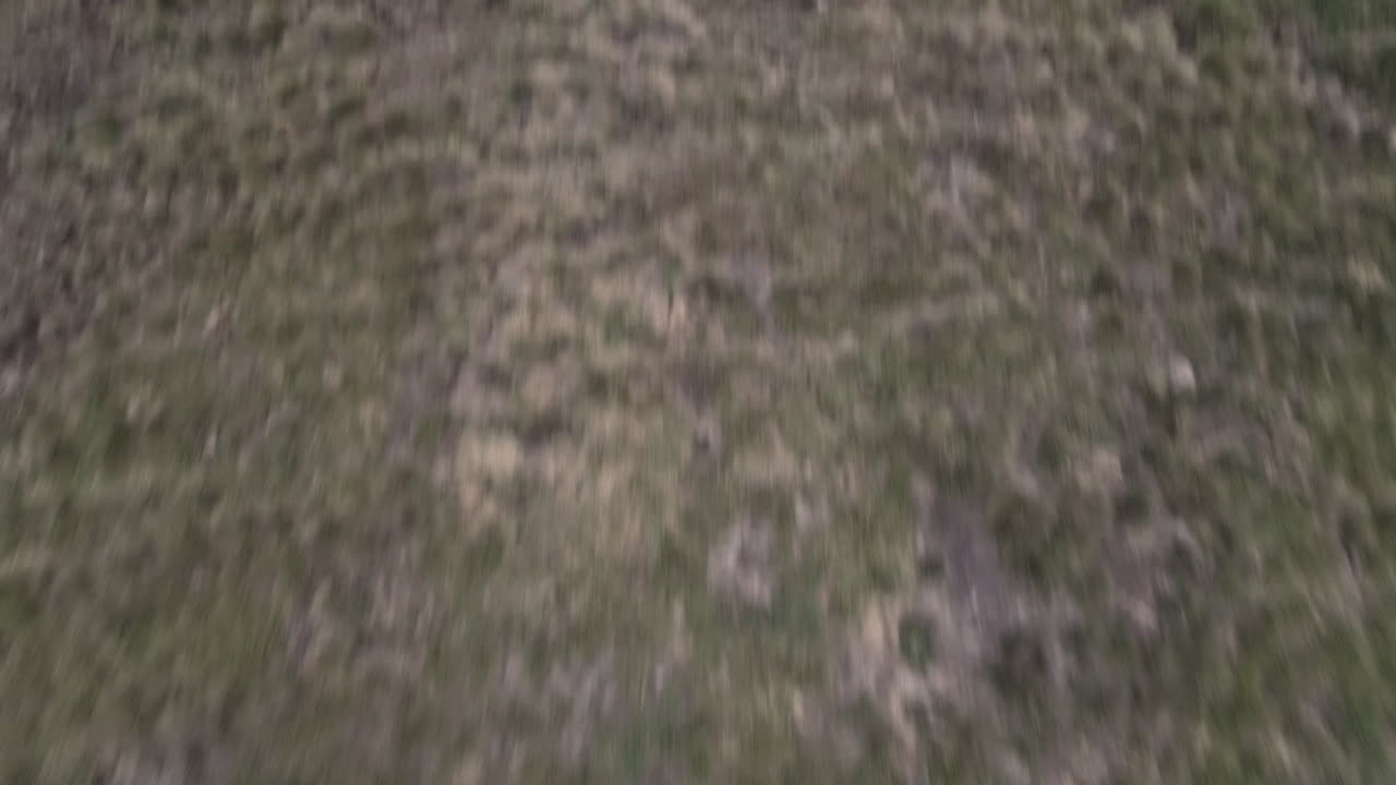 Drone shot and bottom up shot of a woman taking a break from hiking with her dog