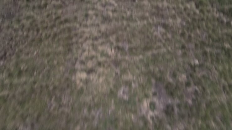 Drone shot and bottom up shot of a woman taking a break from hiking with her dog