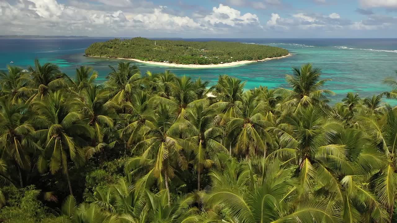 toma aérea volando justo sobre la cima de las palmeras en la jungla, revelando una hermosa y tranquila playa de arena blanca con una pequeña isla cercana en un paraíso aislado con algunas embarcaciones pequeñas.