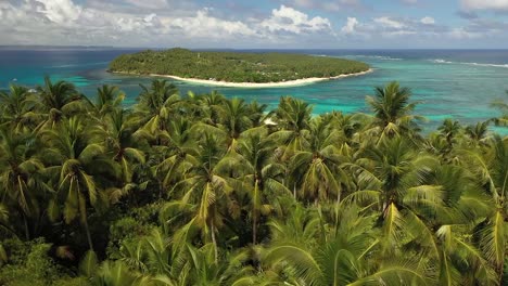 luftaufnahme, die direkt über die palmen im dschungel fliegt und einen wunderschönen und ruhigen weißen sandstrand mit einer kleinen insel in der nähe im abgeschiedenen paradies mit ein paar kleinen booten enthüllt