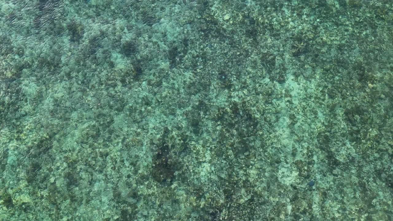 Aerial view of ocean waves at the Carribean sea