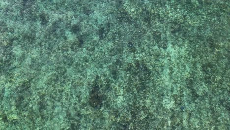 aerial view of ocean waves at the carribean sea