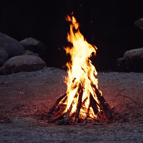 big bonfire fire on nature background. beautiful fire burns brightly. slow motion
