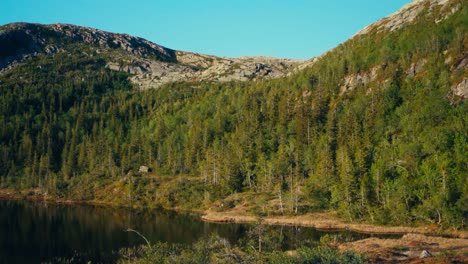 Exuberante-Bosque-Verde,-Montaña-Y-Lago-En-Indre-Fosen,-Noruega---Plano-Amplio