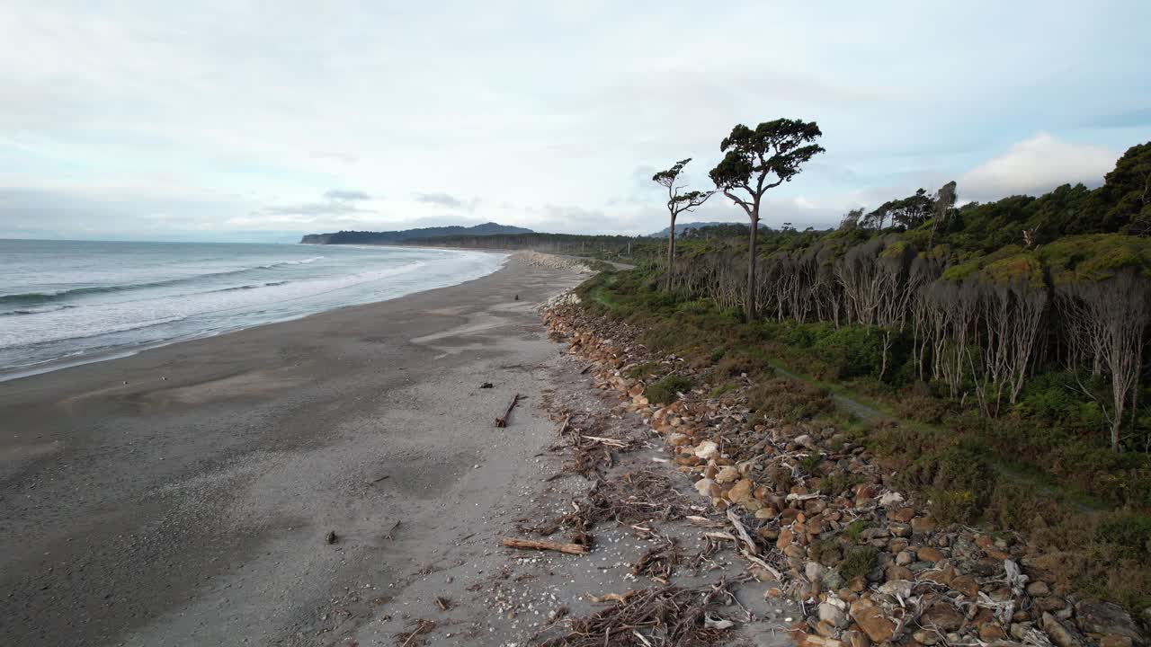 Rimu Trees In The Maori Beach At Bruce Bay In West Coast, South Island, New Zealand. - aerial shot