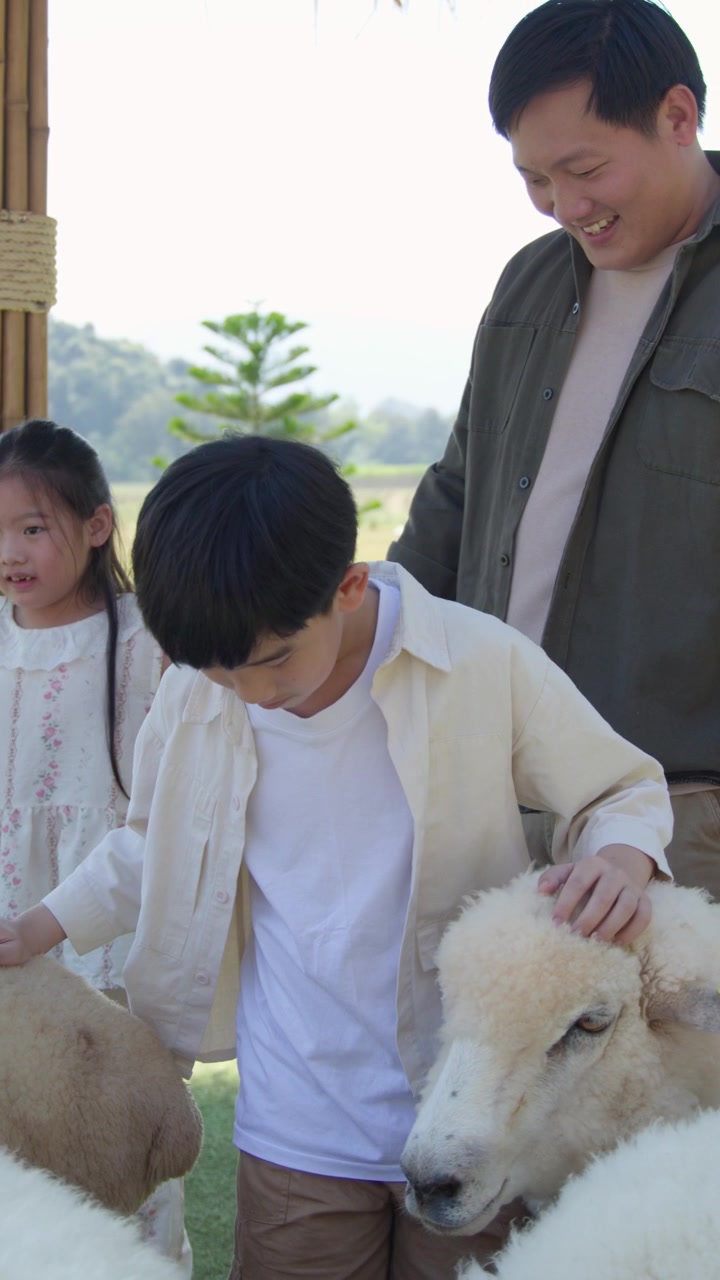 เด็กชายตัวน้อยลูบแกะขาวขณะที่พ่อของเขายิ้มระหว่างการเยี่ยมชมฟาร์มในวันที่มีแดดจ้า