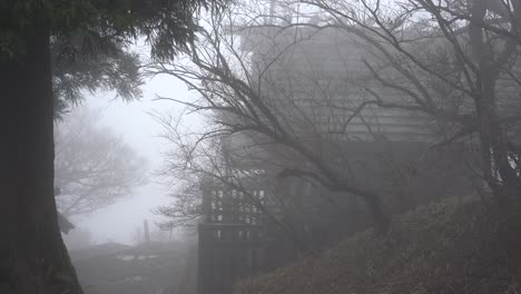 Ein-Altes-Haus-Mitten-Im-Wald,-Umgeben-Von-Gruseligen-Bäumen-An-Einem-Nebligen-Morgen-In-Japan---Mittlere-Aufnahme
