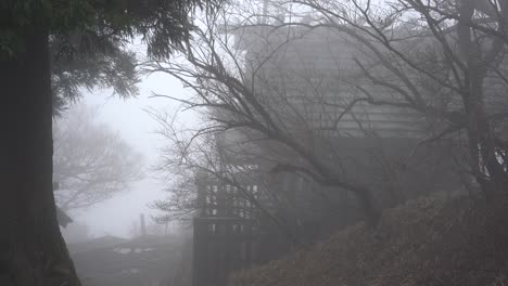 an old house in the middle of the woods surrounded by creepy trees on a foggy morning in japan- medium shot