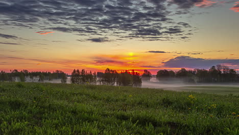 time lapse of pasture with misty forest on