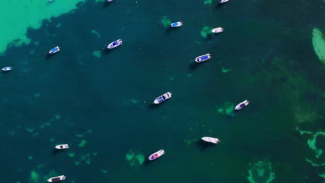 isolated aerial view of dozens of boats moored in the ocean